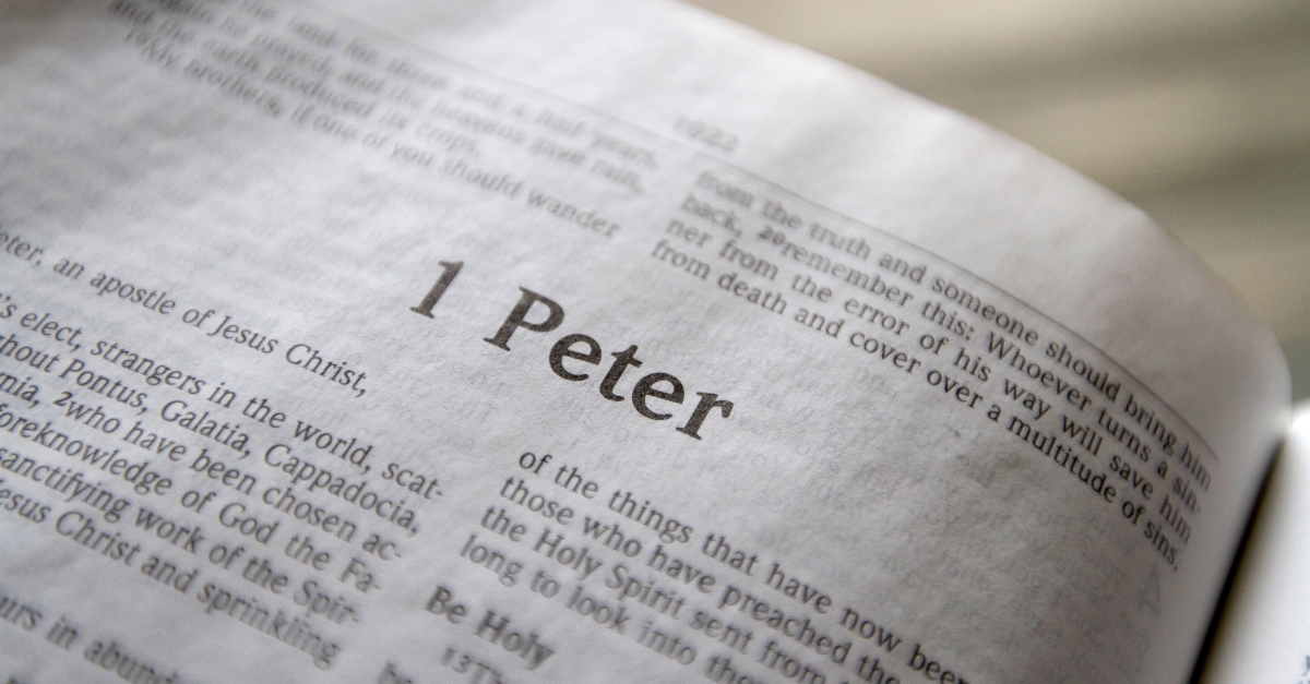 1 peter chapter 1 commentary